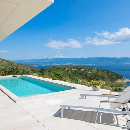 Modern Luxury Olive Vilă