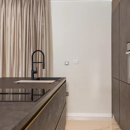 Modern Luxury Olive Vilă